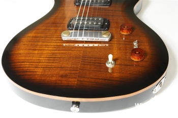 SE Paul’s Guitar - Black Gold Burst